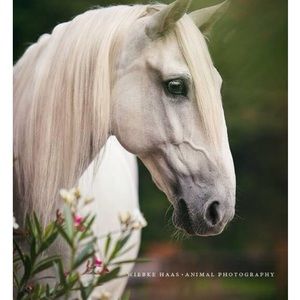 Meet your Posher, Gloria